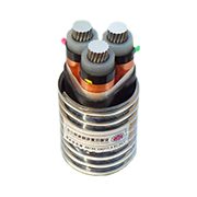 YJLHS、YJLHV22、YJLHV 8.7/15KV 中壓稀土高鐵鋁合金電纜